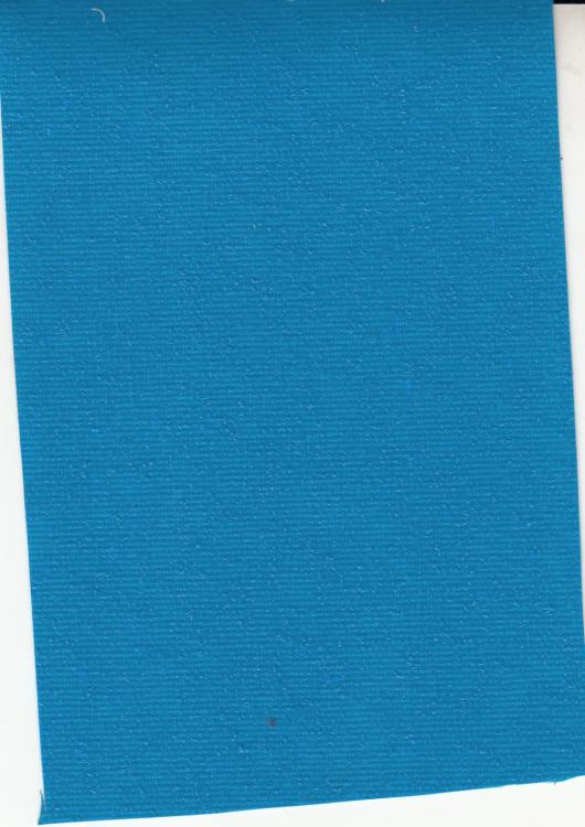 MSVN - CANVAS 008 MSVN - CANVAS 008