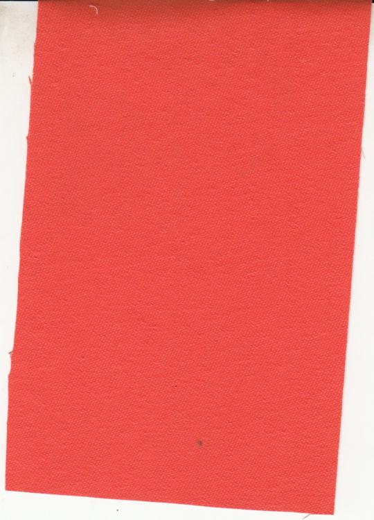 MSVN - CANVAS 013 MSVN - CANVAS 013