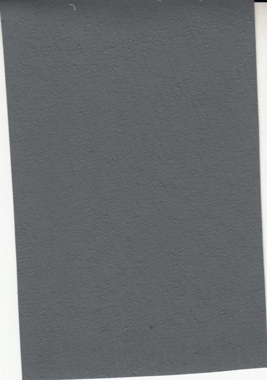 MSVN - CANVAS 012 MSVN - CANVAS 012