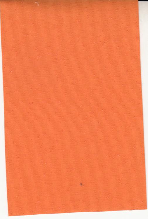 MSVN - CANVAS 011 MSVN - CANVAS 011