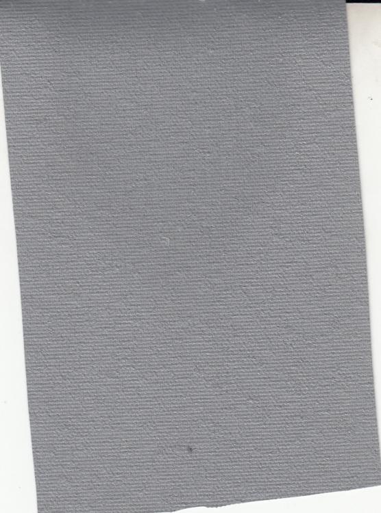 MSVN - CANVAS 007 MSVN - CANVAS 007