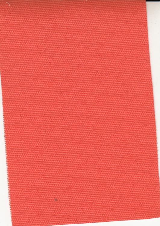 MSVN - CANVAS 010 MSVN - CANVAS 010